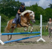 Reitkurs beim Reitverein Seeheim