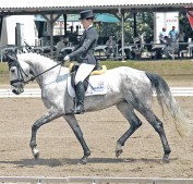 Reitfest Schwanheim 2012