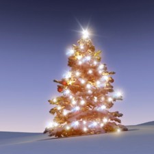 Weihnachtsbaum; © Gunnar Assmy - Fotolia.com