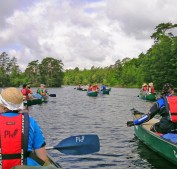 Ohne Moos was los - Schweden 2012