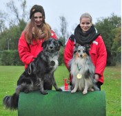 VDH Zwingenberg 2012