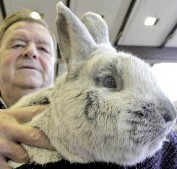 Lokalschau des KZV Hähnlein 2012