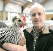 Geflügelzuchtverein Ober-Beerbach