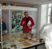 Tabakanbau Lorsch 2013